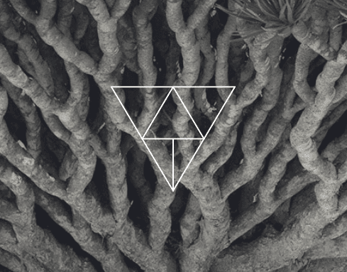 Фирменный стиль Winding Tree